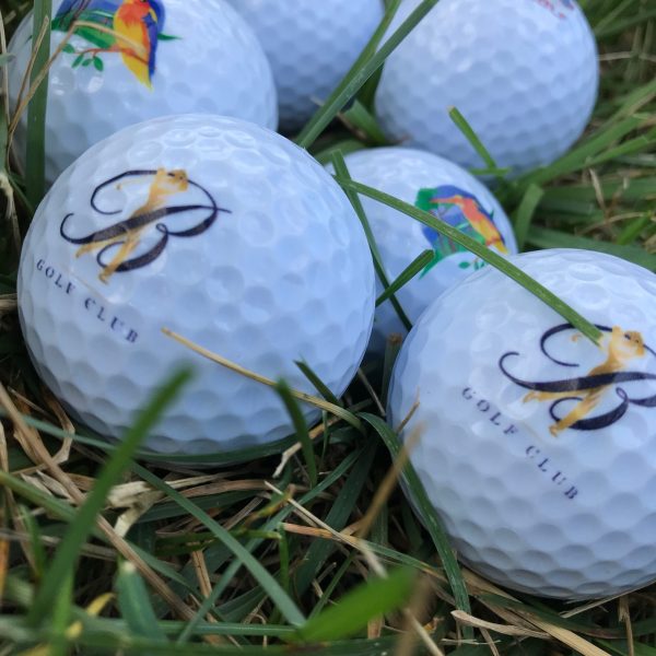 UV printed golf ball